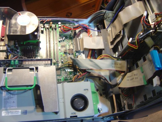 DSC08307.JPG