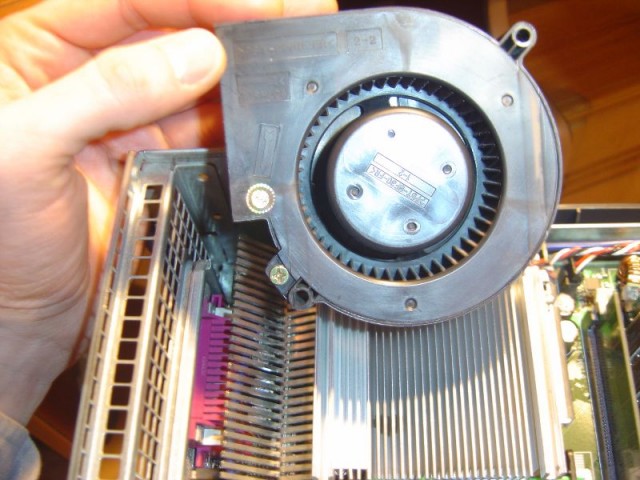 DSC08311.JPG