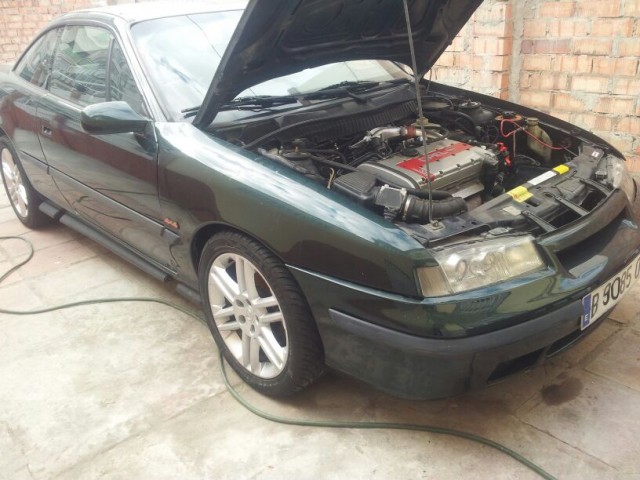IMG-20120115-WA0002.jpg
